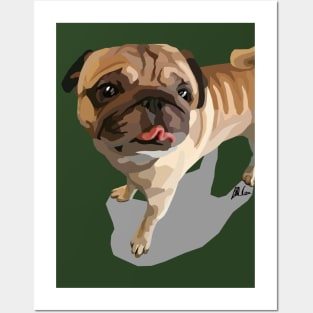 Olly the Pug Posters and Art